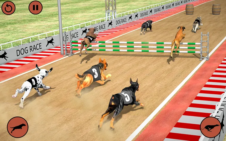 Bí Quyết Thành Thạo Game Đua Chó Nhanh Tại Rikbet 2 Bí Quyết Thành Thạo Game Đua Chó Nhanh Tại Rikbet