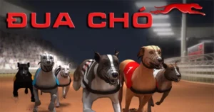 Bí Quyết Thành Thạo Game Đua Chó Nhanh Tại Rikbet
